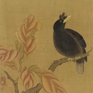 A blackbird on a branch; autumn leaves, Qing dynasty, 18th century. Creator: Unknown