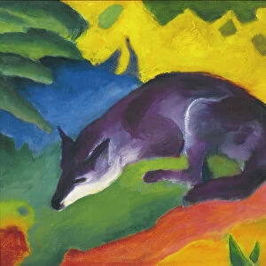 Blue-Black Fox, 1911