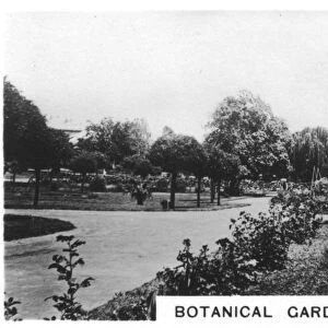 Botanical Gardens, Adelaide, Australia, 1928