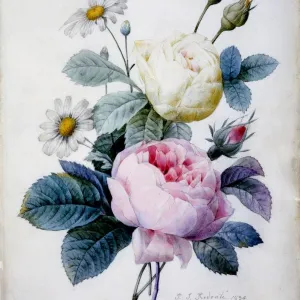 Bouquet of Roses with Daisies, 1834