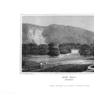Box Hill, Surrey, 1829. Artist: J Rogers