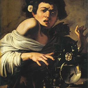 Boy bitten by a Lizard, 1596-1597