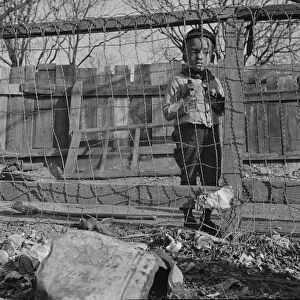 Boy playing in the backyard of his home, Washington (southwest section), D. C. 1942. Creator: Gordon Parks