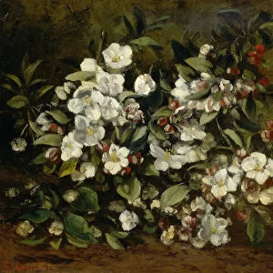 Branche de pommier en fleurs, 1872
