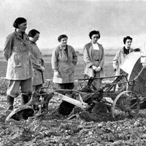 British girls of the Womens Land Army learning to plough with a tractor, World War II, 1939-1945