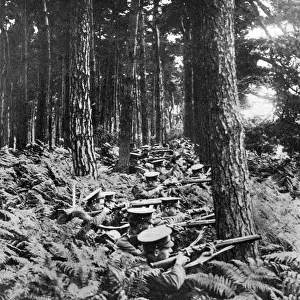 British infantry in a wood, First World War, 1914-1918, (c1920)