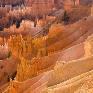 Bryce Canyon. Creator: Tom Artin