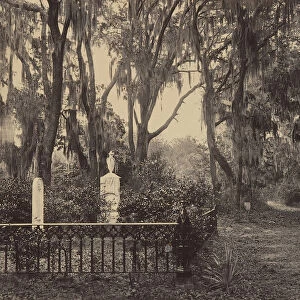 Buen-Ventura, Savanah, Georgia, 1860s. Creator: George N. Barnard