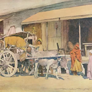 A Bullock-cart, Ajmere, 1905. Artist: Mortimer Luddington Menpes
