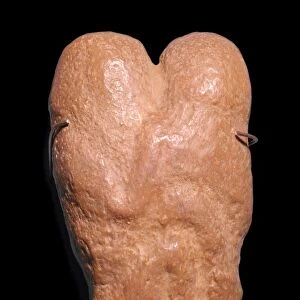 Calcite statuette showing two humans in an embrace, 30th century BC