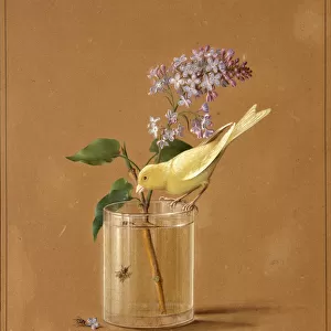 Canary Bird on a Lilac Branchlet, 1819. Artist: Tolstoy, Fyodor Petrovich (1783-1873)