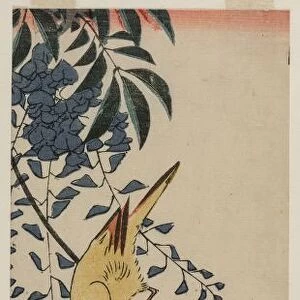 Canary and Wisteria, mid-1840s. Creator: Ando Hiroshige (Japanese, 1797-1858)