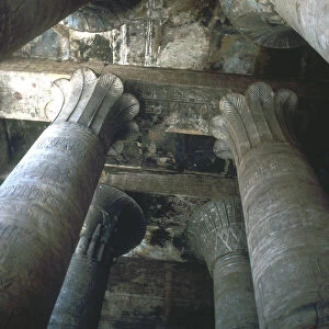 Capitals in the Hypostyle Hall, Temple of Horus, Edfu, Egypt, Ptolemaic Period, c251BC-c246BC