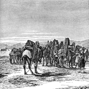 A caravan on the banks of the Euphrates, 1895