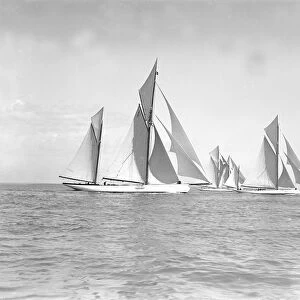 Cariad, Betty & Meteor, 1911. Creator: Kirk & Sons of Cowes