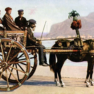 Cart, Palermo, Sicily, c1923