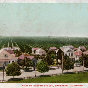 Castro Street, Hayward, California, 1905