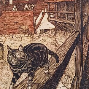 The Cat and Mouse in Partnership, 1909