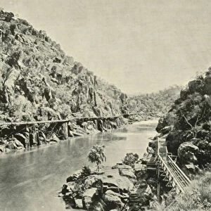 In the Cataract Gorge, 1901. Creator: Unknown