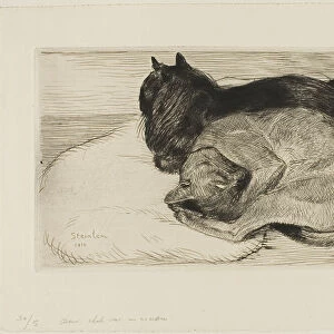Two Cats on a Cushion, 1914. Creator: Theophile Alexandre Steinlen