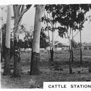 Cattle station homestead, Australia, 1928