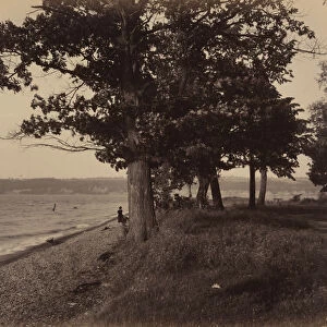 Cayuga Lake, Sheldrake, c. 1895. Creator: William H Rau