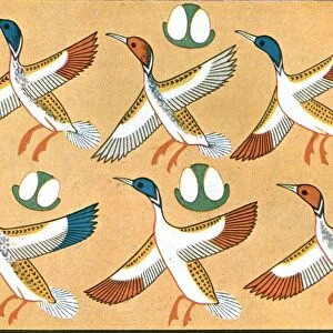 Detail of ceiling painting in the tomb of Aichesi, Thebes, Egypt, (1928). Creator: Unknown