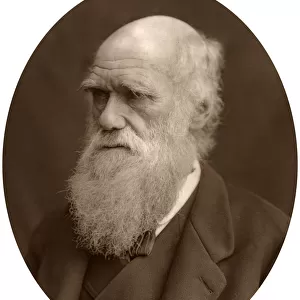 Charles Darwin, 1878. Artist: Lock & Whitfield