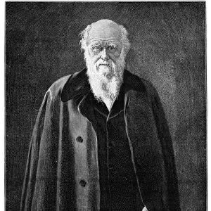 Charles Darwin, renowned naturalist and thinker, (1900)
