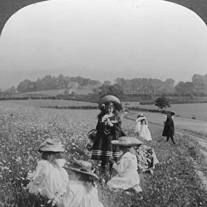 Children in a meadow, Keswick, Cumbria. Artist: Excelsior Stereoscopic Tours