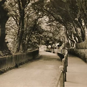 Chine Avenue, Shanklin, I. W. c1920. Creator: Unknown