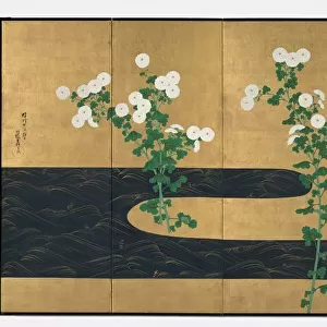 Chrysanthemums by a Stream, late 1700s-early 1800s. Creator: Ogata Korin (Japanese