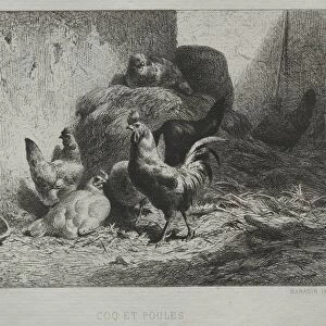 Cock and Hens. Creator: Charles-Emile Jacque (French, 1813-1894)