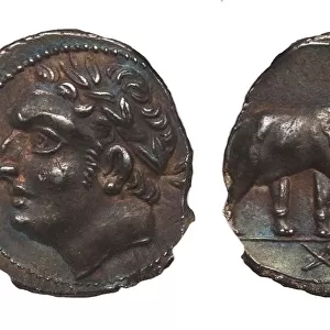 Coin of Hannibal Barca. Carthage. (Obverse: Hannibal, Reverse: Elephant), ca. 213-210 BC