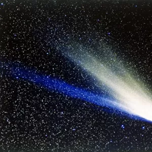 Comet West near the Sun, 1976. Creator: NASA