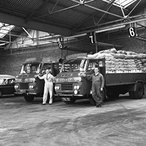 Commer Lorries at Spillers Foods Ltd, Gainsborough, Lincolnshire, 1962