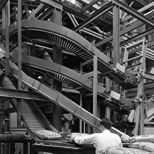 Complex conveyor delivery, Spillers Animal Foods, Gainsborough, Lincolnshire, 1962
