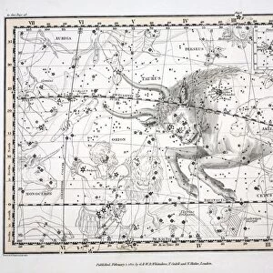 The Constellations (Plate XIV)Taurus, 1822