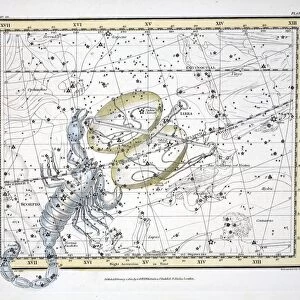 The Constellations (Plate XIX) Libra and Scorpio, 1822