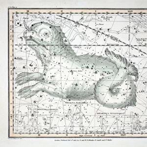 The Constellations (Plate XXIII) Cetus, Officina Sculptoris, Machina Electrica, Fornax Chemica