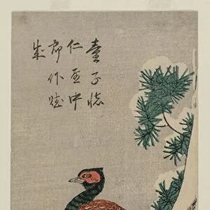 Copper Pheasant by Snowy Waterfall, late 1830s or early 1840s. Creator: Ando Hiroshige (Japanese, 1797-1858)