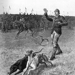 Coursing: Slipping the Greyhounds, 1887