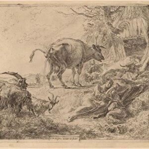 Cow Pissing. Creator: Nicolaes Berchem