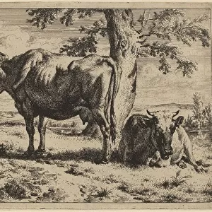 Two Cows under a Tree, c. 1670. Creator: Adriaen van de Velde