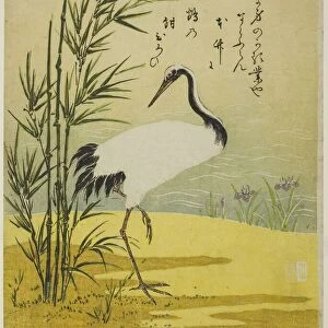 Crane, Bamboo and Iris, c. 1775. Creator: Isoda Koryusai