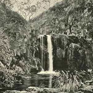 Back Creek Falls, Buchan River, Victoria, 1901. Creator: Unknown