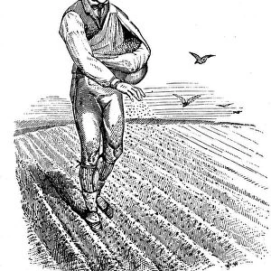 Crop rotation: sowing seed broadcast, 1855