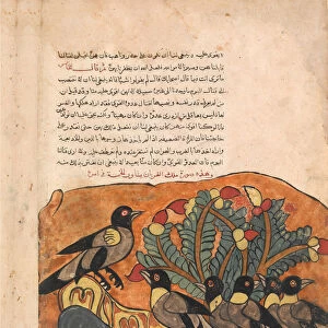 The Crow King Consults his Ministers, Folio from a Kalila wa Dimna, 18th century
