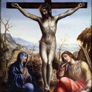 The Crucifixion with the Virgin and John the Baptist, c1540. Artist: Sodoma