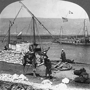 Dahabiyehs on the river ready for a Nile voyage, Egypt, 1905. Artist: Underwood & Underwood